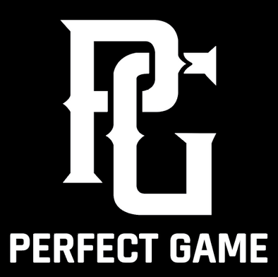 PG Perfect Game Banner 5'x5'