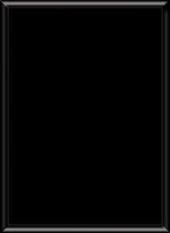 VL3810 8x10 Matte Black Plaque - Blank
